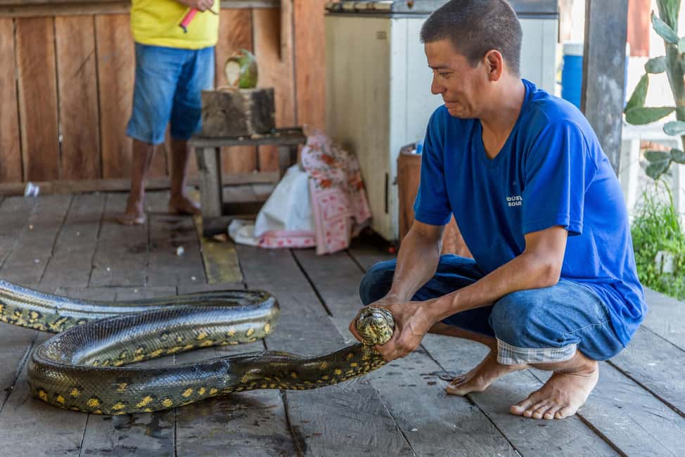 image n.6 of Iquitos | Amazon Tour | 4D/3N in Amazon Rainforest Jungle activity in Huanuco Region, uploaded by supplier