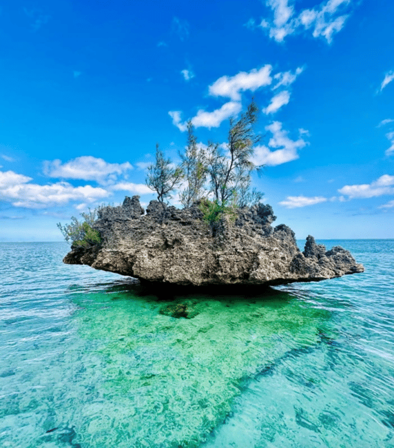 image n.5 of Black River: Swim with Dolphin Speed Boat Tour with lunch activity in Mauritius, uploaded by supplier