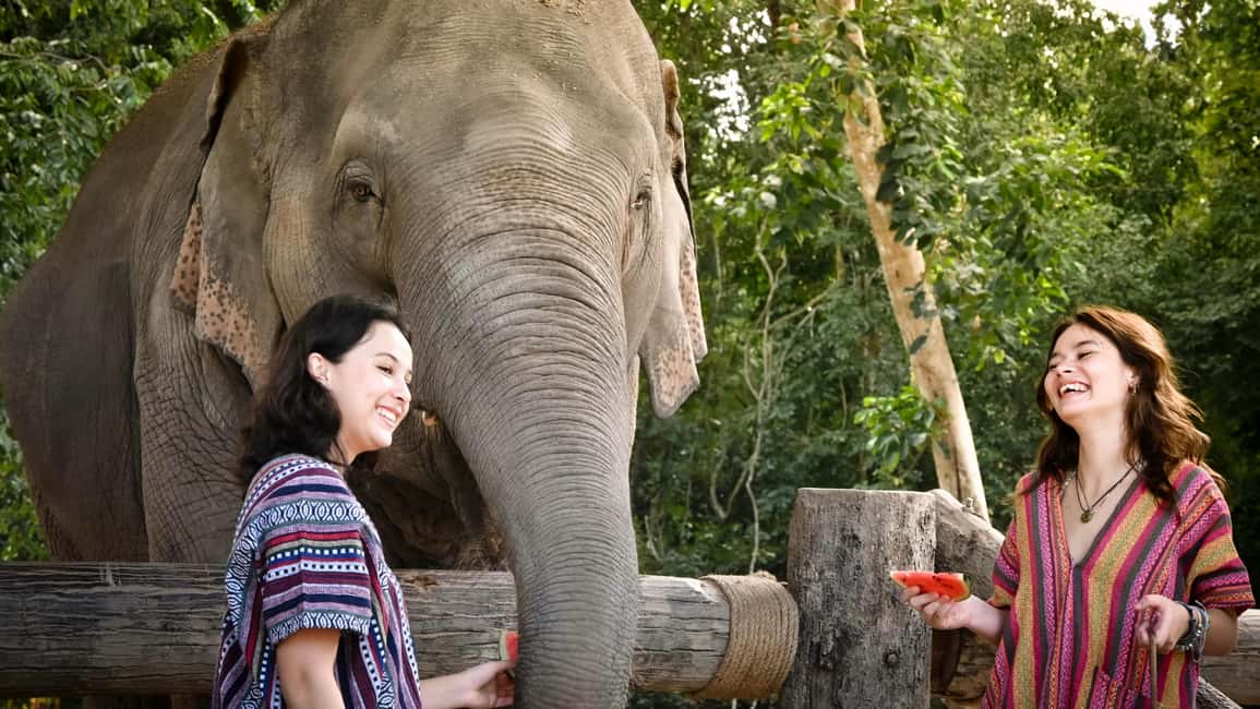billede nr.3 af aktiviteten Koh Samui: Oplevelse med fodring og badning af elefanter i Thailandbugten, uploadet af udbyder