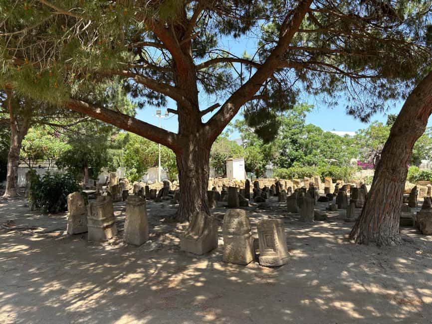 Image N°4 de Journée privée médina de Tunis Carthage Sidi Bousaid avec déjeuner activité à Kairouan, publiée par le prestataire