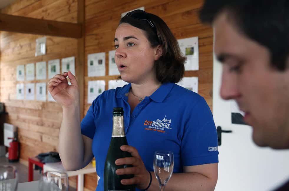 image n.7 of From Paris: Champagne Day Trip with 7 Tastings and Lunch activity in Epernay, uploaded by supplier