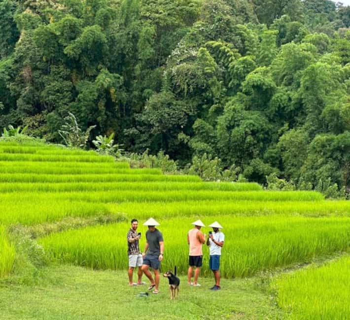 image n.2 of Chiang Mai: Doi Inthanon Park and Pha Dok Siew Trail Trek activity in Chiang Mai, uploaded by supplier