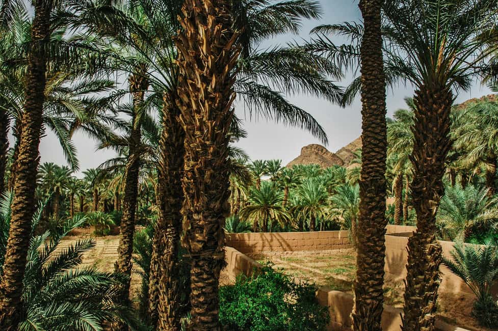 image n.3 of Marrakech/Ouarzazate: 2-Day Desert with Camel, 4x4 & Meals activity in Ait Benhaddou, uploaded by supplier