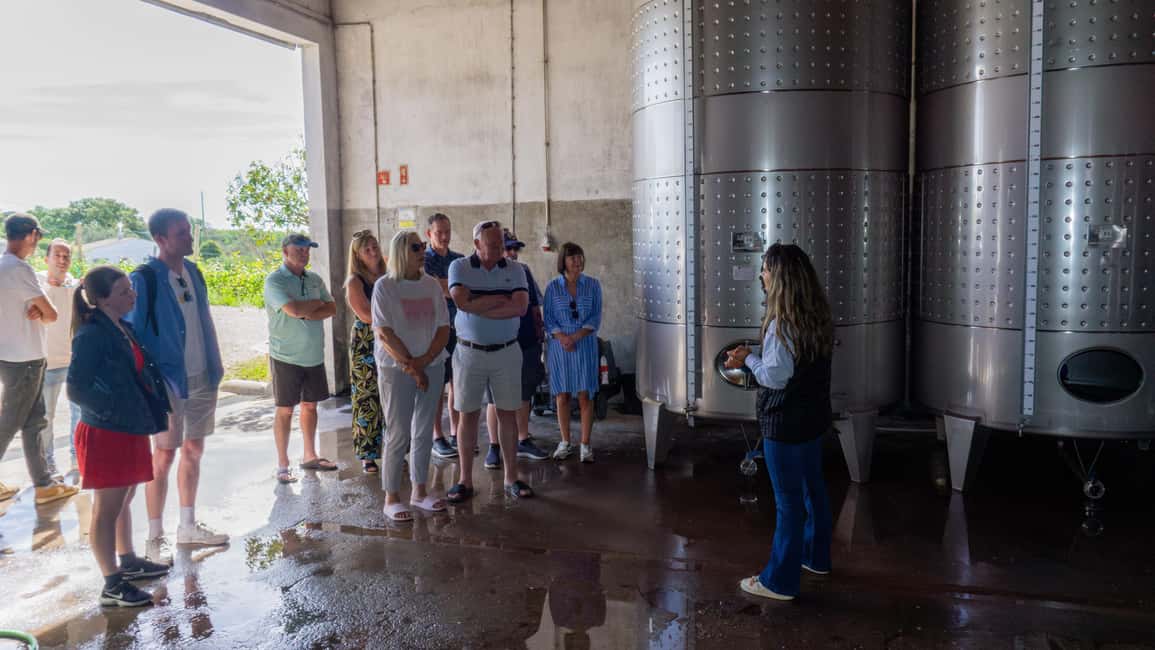 image n.8 of From Albufeira: Half-Day Winery Tour and Silves activity in Monchique, uploaded by supplier