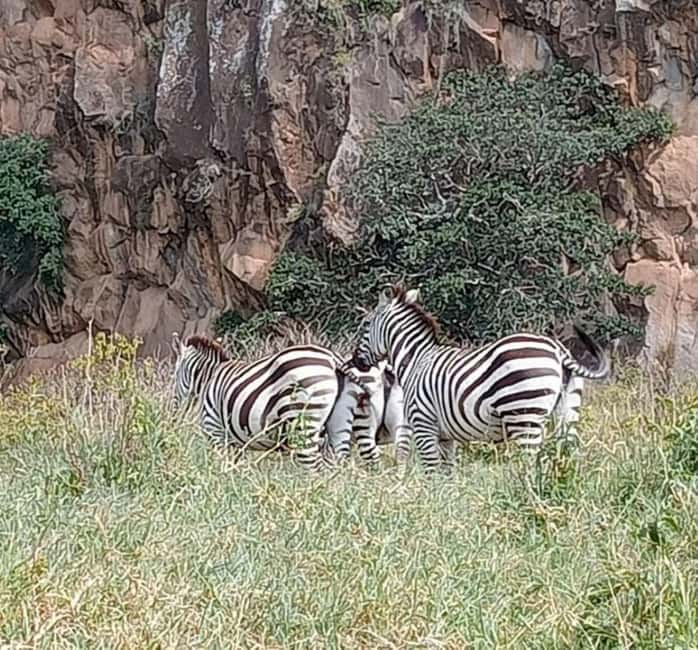 image n.28 of From Nairobi:Full Day Tour to Hell’s Gate National Park activity in Nakuru, uploaded by supplier