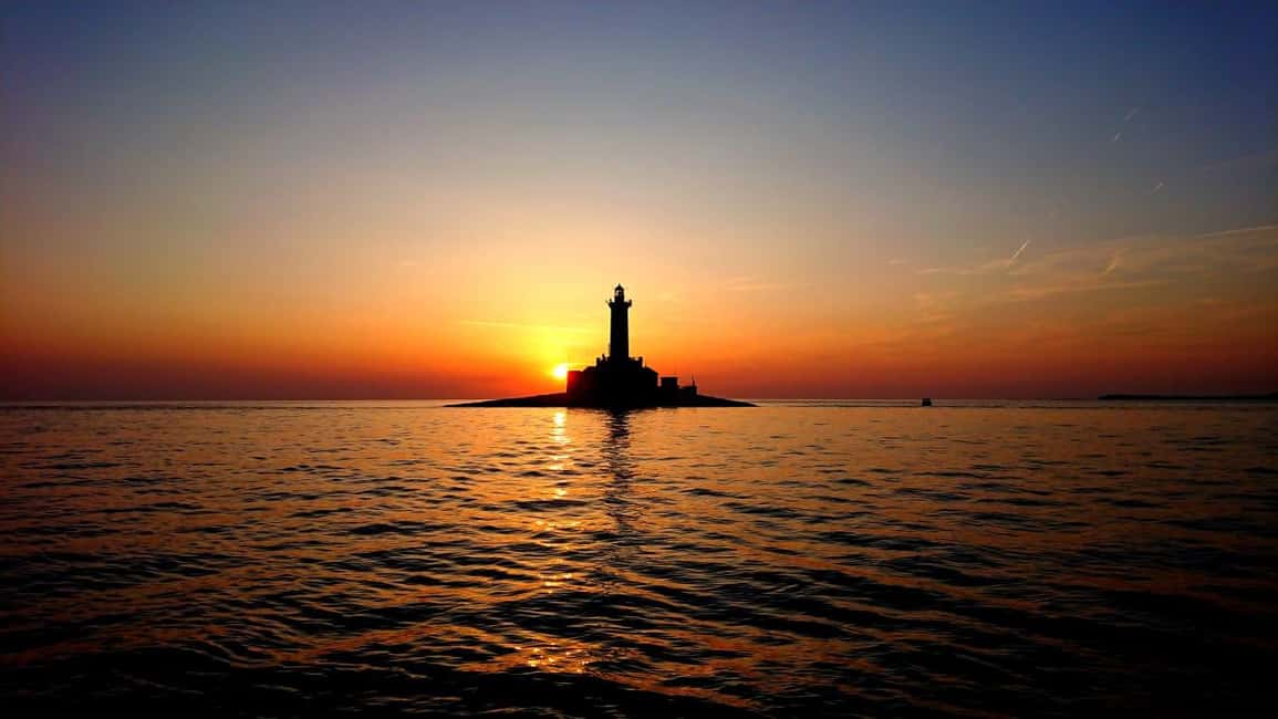 Immagine nº 9 di 3 ore di osservazione dei delfini al tramonto con bevande illimitate + cena attività a Istarska, caricata dal fornitore