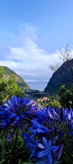 billede nr.8 af aktiviteten Madeira "Mystery Tour" heldags - privat 4x4-jeep i Estreito de Câmara de Lobos, uploadet af udbyder