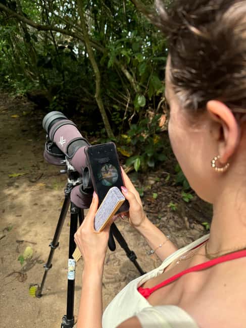 image n.15 of Cahuita: Walking Tour and Wildlife Sightseeing, Tour with Tour Guide activity in Limón Province, uploaded by supplier