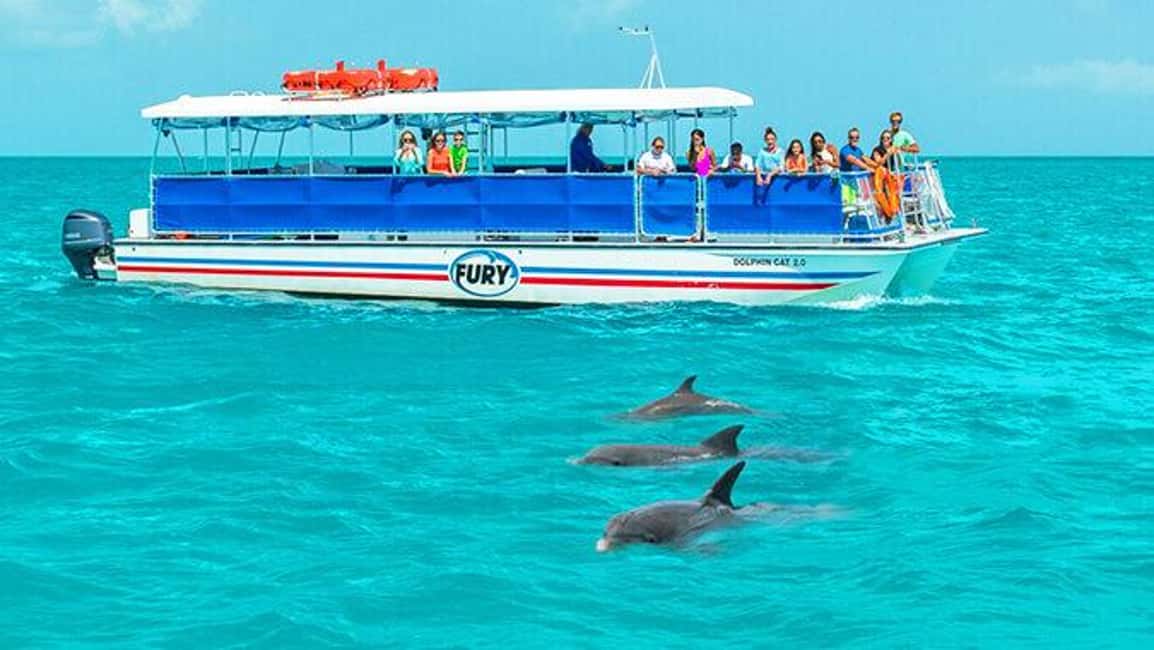 imagen n.º 19 de Cayo Hueso: Paseo en barco para avistar delfines y hacer snorkel actividad en Estados Unidos, subida por el proveedor