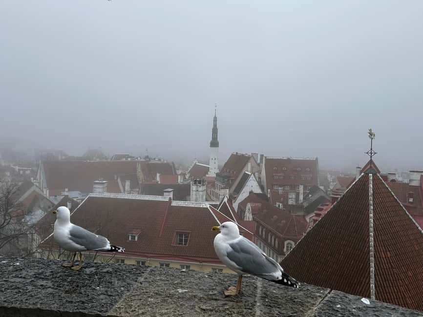 Immagine nº 15 di Tallinn: tour guidato a piedi della città vecchia attività a Tallinn, caricata dal fornitore