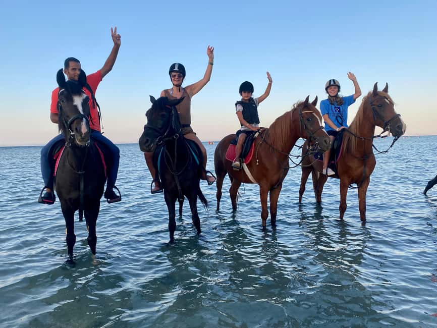 image n.7 of Hurghada: Desert and Beach Horse Riding Adventure activity in Hurghada, uploaded by supplier