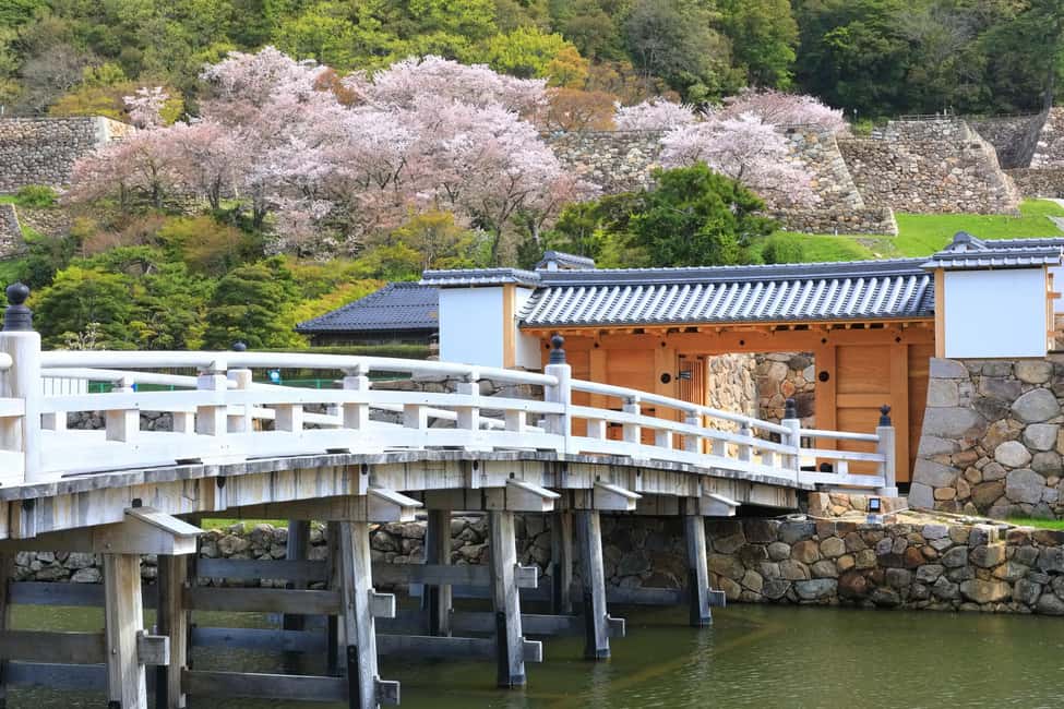image n.6 of Tokyo: East Garden of the Imperial Palace with History Guide activity in Tokyo, uploaded by supplier