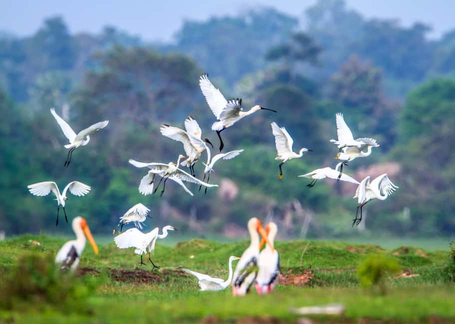 bild nr.24 av Sri Lanka: 7-dagars privat tur utanför den upptrampade stigen aktivitet i Kandy, uppladdad av arrangören