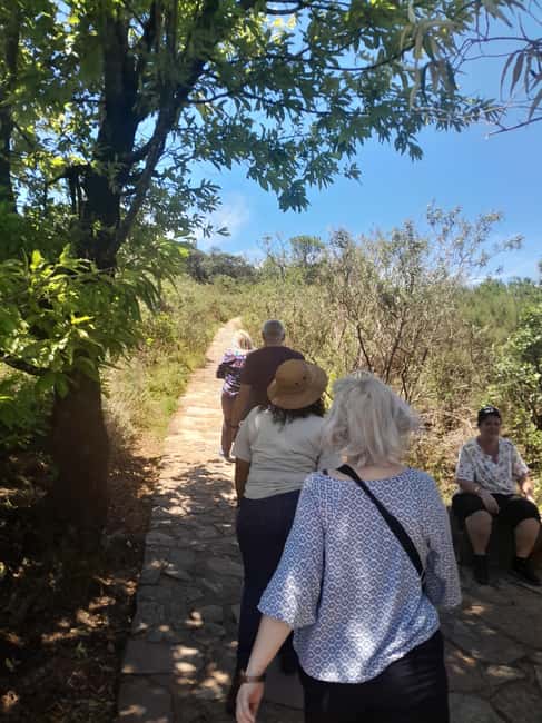 imagem n.44 de Parque Nacional Kruger: Excursão de 4 dias para o melhor safari atividade em Pilgrim's Rest, África do Sul, carregada pelo fornecedor