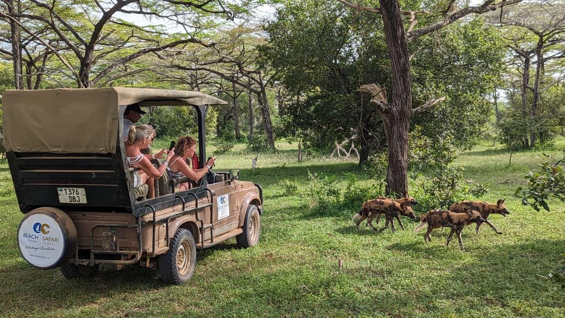 image n.4 of From Zanzibar: Day Selous Game Reserve Safari with Flights activity in Morogoro Region, uploaded by supplier