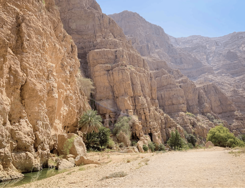 Immagine nº 3 di da muscat tour del wadi shab e della dolina di bimmah attività a Regione al-Sharqiyya, caricata dal fornitore