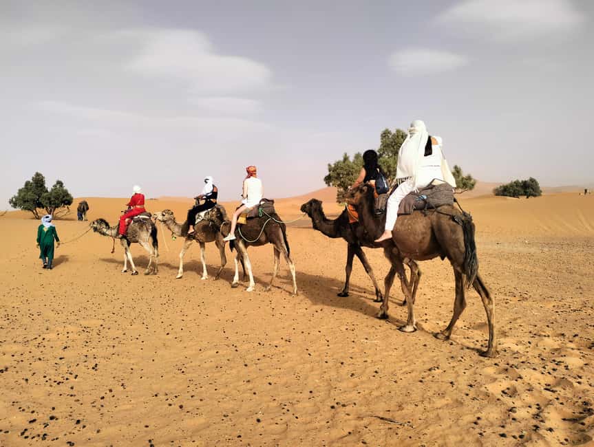 Image N°7 de Marrakech à Fes 3 jours dans le désert avec chameau et quad activité à Aït-ben-Haddou, publiée par le prestataire