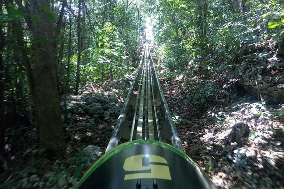 image n.10 of Rainforest Bobsled Mystic Mountain transportation activity in Ocho Rios, uploaded by supplier