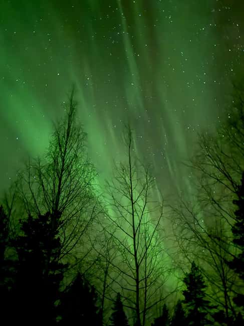 billede nr.10 af aktiviteten Levi: Nordlys-eventyr i naturen, lækkerier ved lejrbålet i Sirkka, uploadet af udbyder