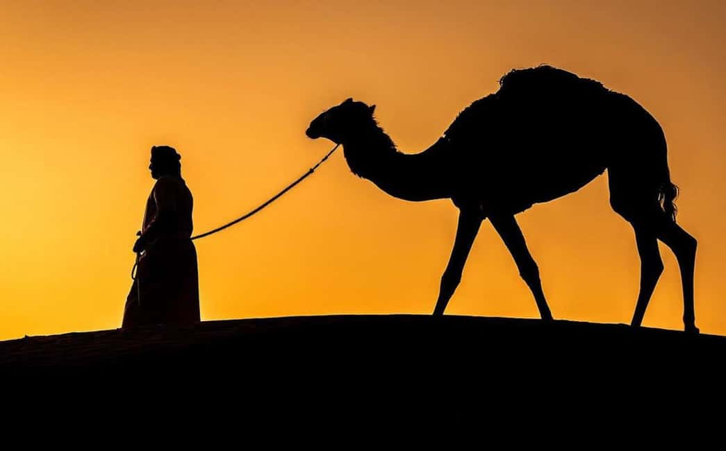 Immagine nº 2 di Tramonto nel deserto con pick up attività a Mascate, caricata dal fornitore