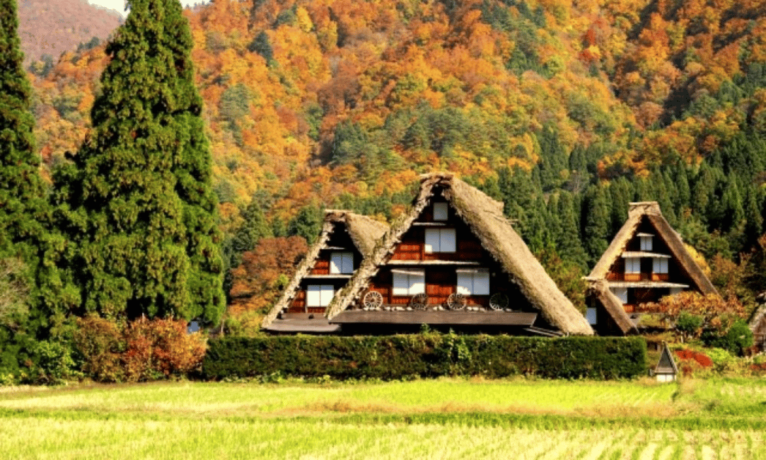 image n.16 of Shirakawago&HidaTakayama&GujoHachiman 1 Day Tour from Nagoya activity in Gujo, uploaded by supplier