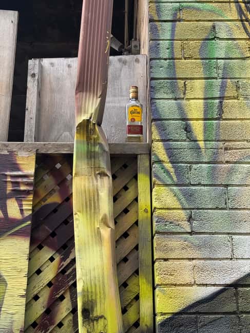 image n.9 of Toronto: Street Art and Graffiti Tour Run by Street Artist activity in Toronto, uploaded by supplier