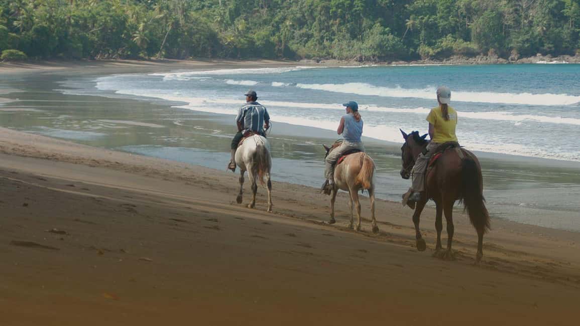 Immagine nº 25 di Las Catalinas: Le migliori cose da fare in Guanacaste, Costa Rica attività a Santa Cruz, Costa Rica, caricata dal fornitore