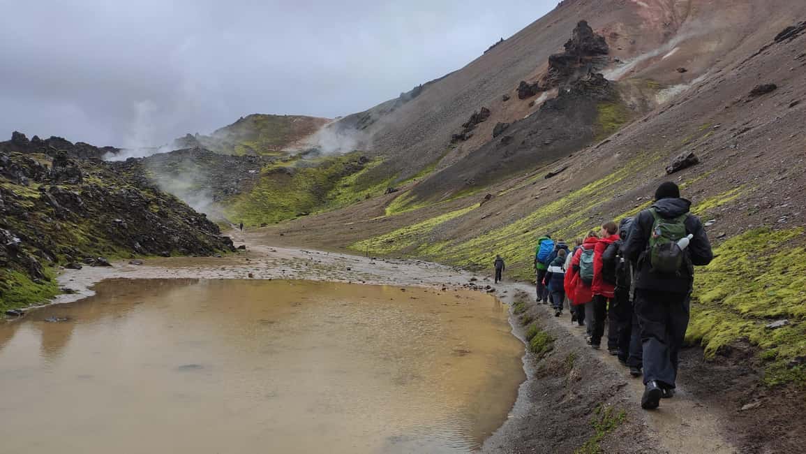 imagen n.º 8 de Excursión a Landmannalaugar y aguas termales desde Reikiavik y Hella actividad en Suðurland, subida por el proveedor