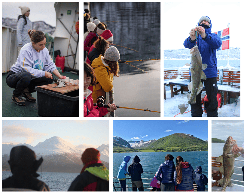 image n.5 of Tromsø’s Top-Rated Fjord & Fishing Cruise – All-Inclusive activity in Barents Sea, uploaded by supplier