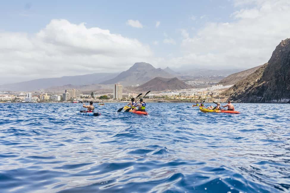 image n.10 of Tenerife: Kayak Safari and Sea Turtle Snorkeling with Photos activity in Arona, Tenerife, uploaded by supplier