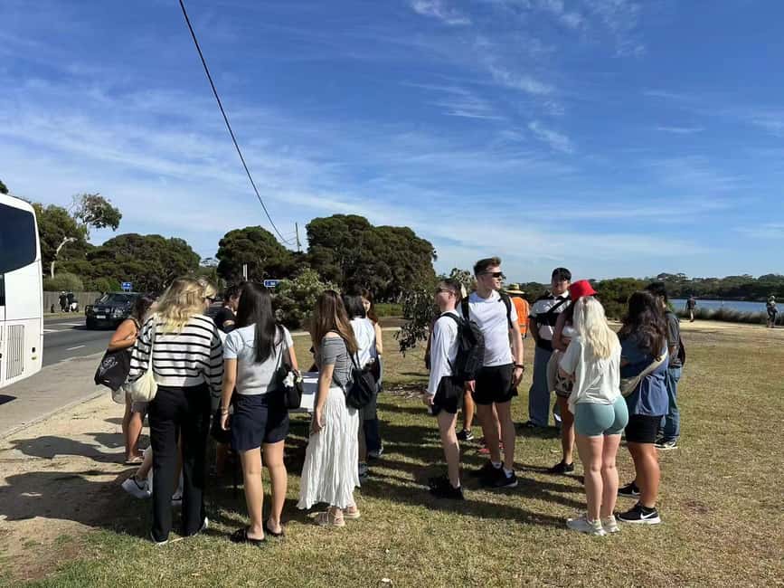 imagem n.3 de Melbourne: Excursão épica pela Great Ocean Road com pontos turísticos imperdíveis atividade em Melbourne, carregada pelo fornecedor