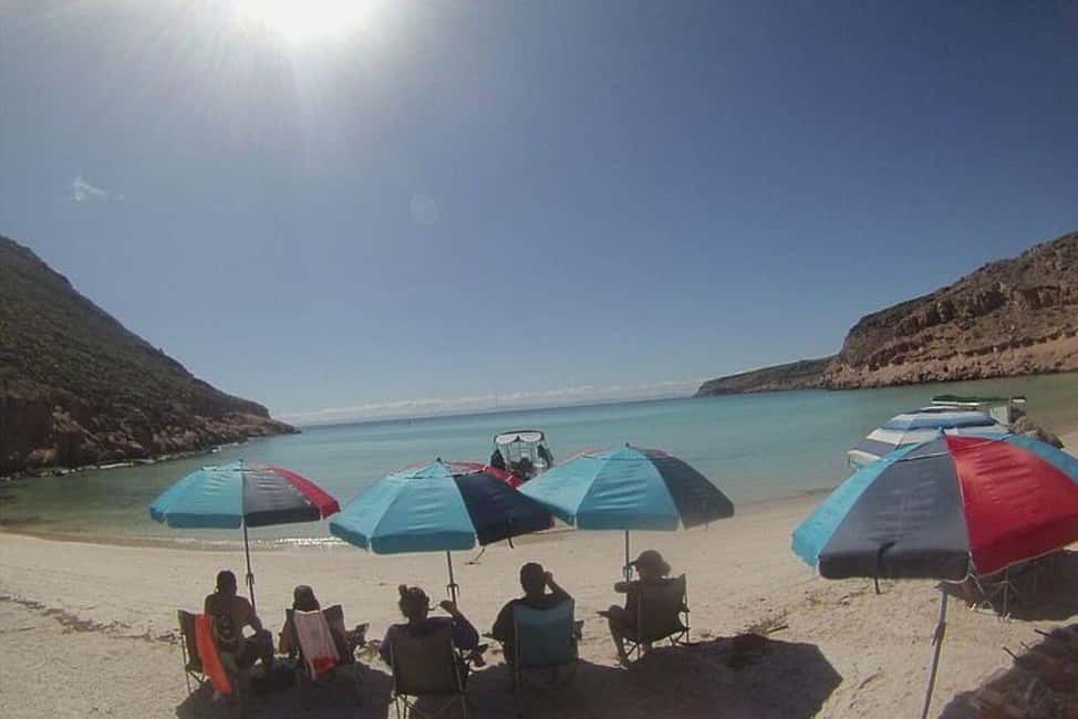 image n.5 of From La Paz: Espiritu Santo Island Adventure activity in Baja California Sur, uploaded by supplier