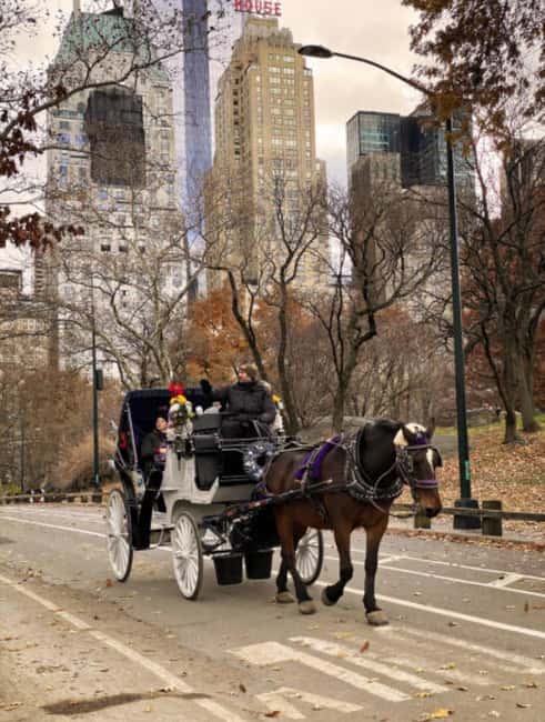 image n.18 of NYC Private Central Park Horse Carriage Ride with Guide activity in New York City, uploaded by supplier