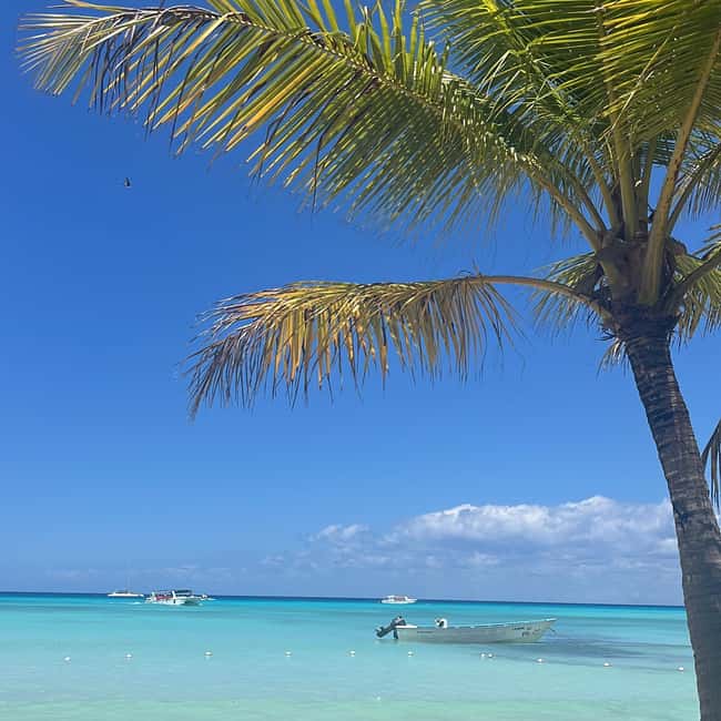 image n.15 of Saona Island: Beach & Natural Pool Small-Group Tour w/ Lunch activity in La Romana (Province), uploaded by supplier