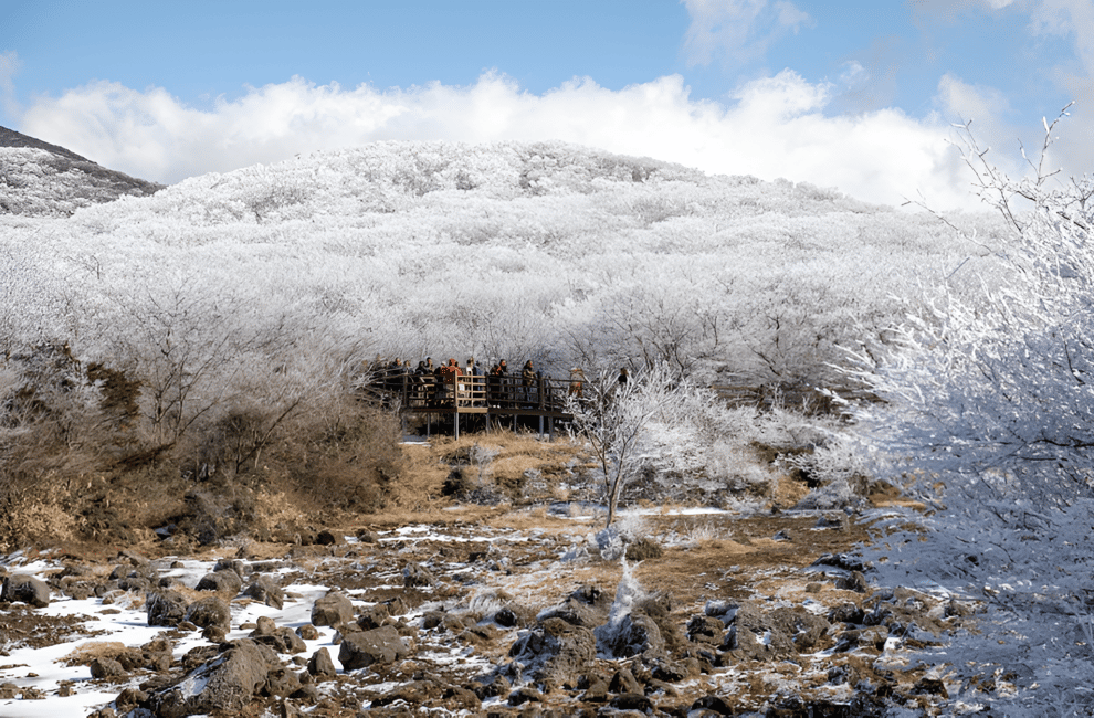 image n.11 of Jeju island : West & South Full-Day Tour activity in Seogwipo-si, uploaded by supplier