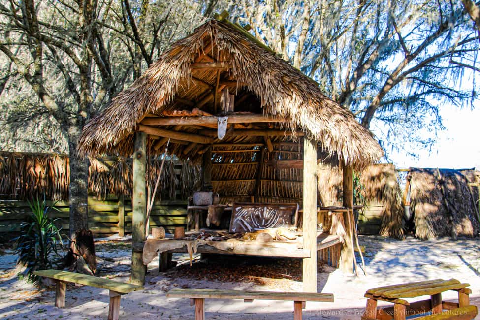 image n.18 of Kissimmee: Boggy Creek Airboat Ride with Optional Meal activity in Kissimmee, uploaded by supplier