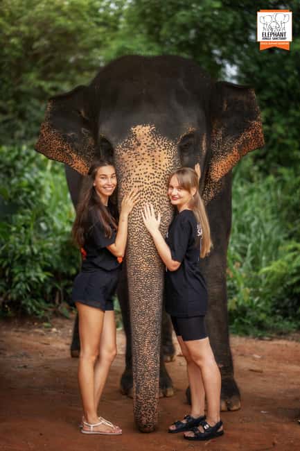 billede nr.11 af aktiviteten Phuket: Oplevelse af etisk fodring i Elephant Jungle Sanctuary i Kathu, Phuket, uploadet af udbyder