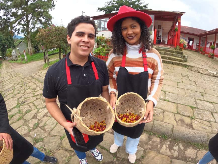 imagem n.24 de Bogotá: Tour do café colombiano com partida diária da fazenda atividade em Fusagasugá, carregada pelo fornecedor