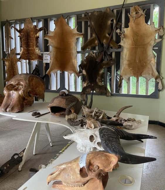 image n.9 of Accra: Shai Hills and Volta River Cruise Day Trip with Lunch activity in Ghana Central Region, uploaded by supplier