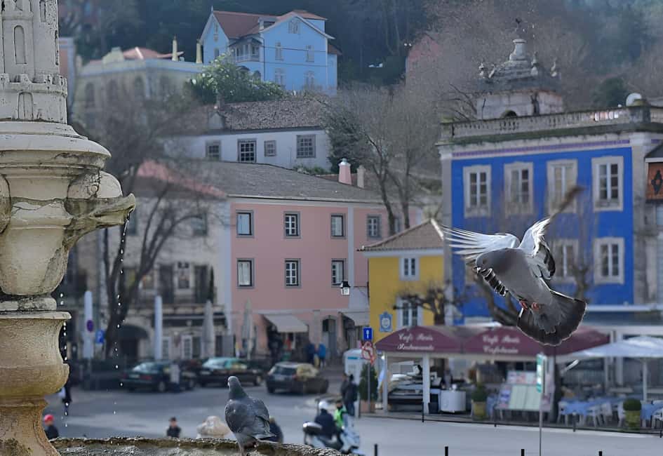 billede nr.29 af aktiviteten Lissabon: Sintra, Pena Palace, Quinta Regaleira, Cascais Tour i Colares, uploadet af udbyder
