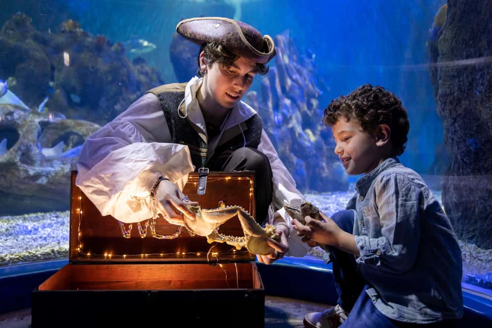 image n.3 of Benalmadena Aquarium Visit activity in Benalmadena, uploaded by supplier