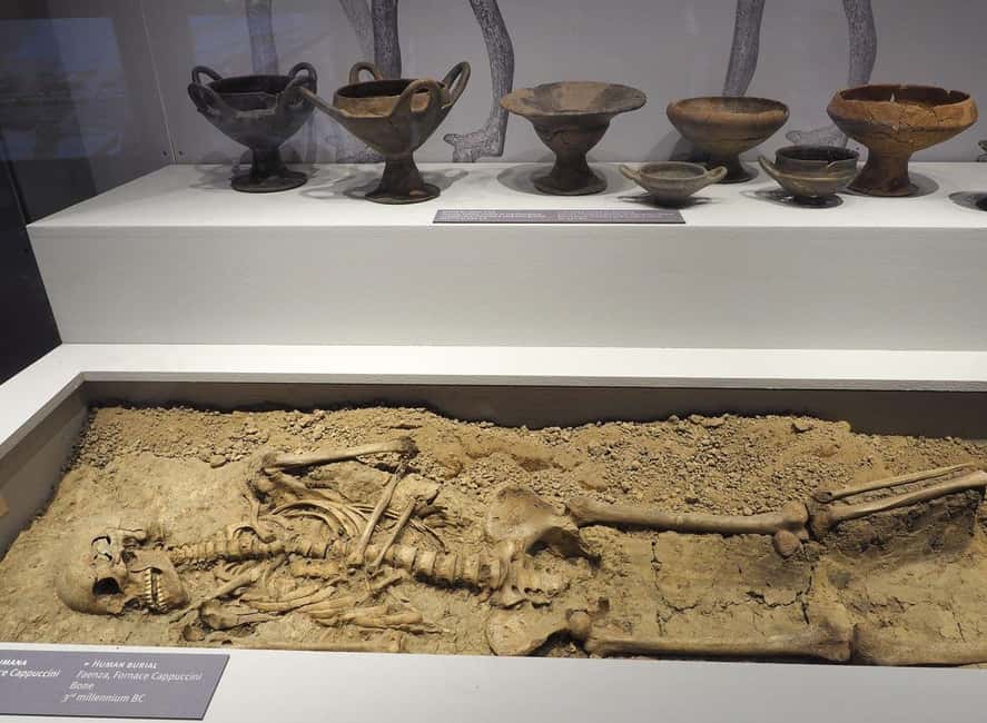 Immagine nº 21 di Museo Classis & Basilica di Sant'Apollinare Biglietto d'ingresso attività a Ravenna, caricata dal fornitore