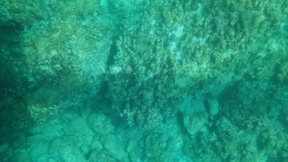 image n.5 of Syracuse: Coast and Sea Caves Full Transparent Boat Tour activity in Syracuse, uploaded by supplier