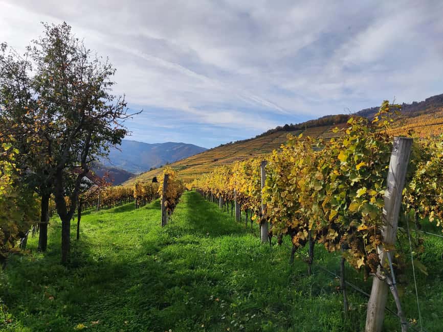 Bild Nr. 14 von Wachau Tal: 3 Schlösser & Wein Private geführte Tagestour Aktivität in Klosterneuburg, hochgeladen vom Anbieter