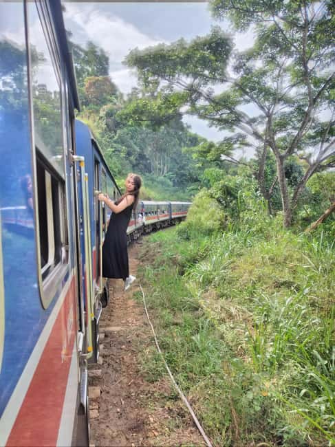 From Ella: Ella Unfogettable Day tour & Train Ride Tour | GetYourGuide