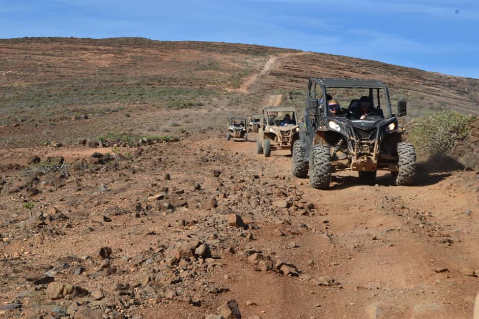 image n.16 of Lanzarote: Mix tour Guided Buggy Volcano Tour 4 seater activity in El Toyo, uploaded by supplier