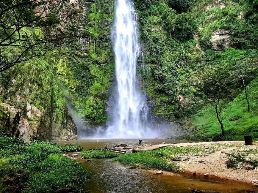 image n.1 of Accra: Wli falls & Mona Monkey Sanctuary activity in Volta Region, uploaded by supplier