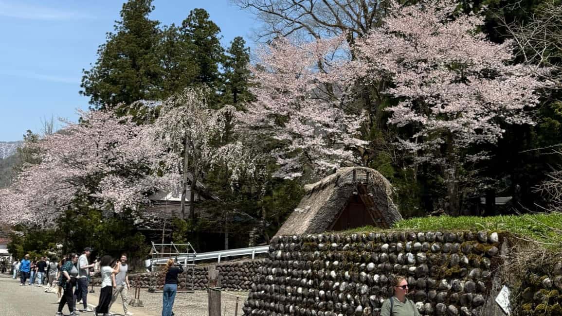 サプライヤーによってアップロードされた、高山の金沢/高山発：白川郷＆高山日帰りツアーの画像#32