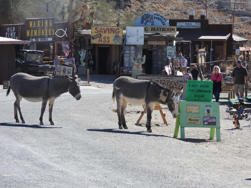 image n.60 of Oatman Mining Village: Burros/Route 66 Scenic Mountain Tour activity in Kingman, uploaded by supplier