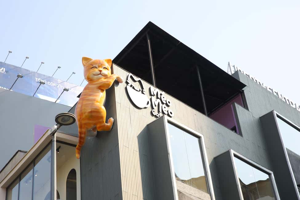 Méo Meo Cat Cafe in Center of Saigon GetYourGuide